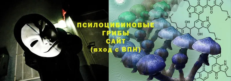 Галлюциногенные грибы Magic Shrooms  купить   Богородск 